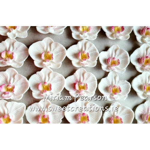 Cupcake Flowers Orchids
